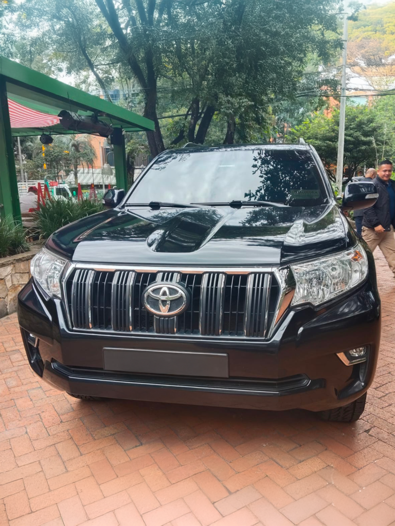 PRADO 087